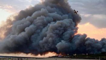 le 30 juillet 2020, feu de forêt à Chiberta à Anglet, un désastre!